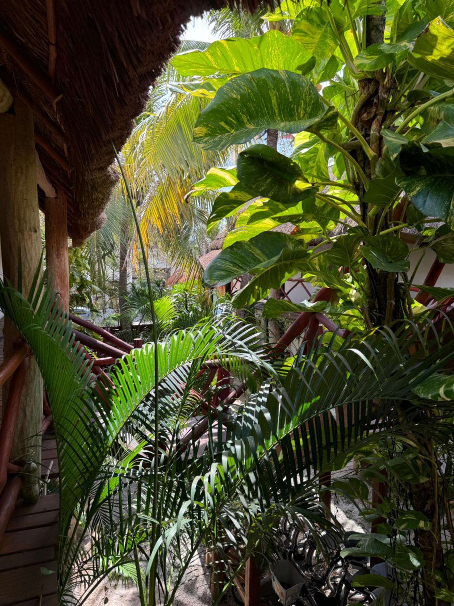 Kin Ha Tulum Hotel Eksteriør bilde