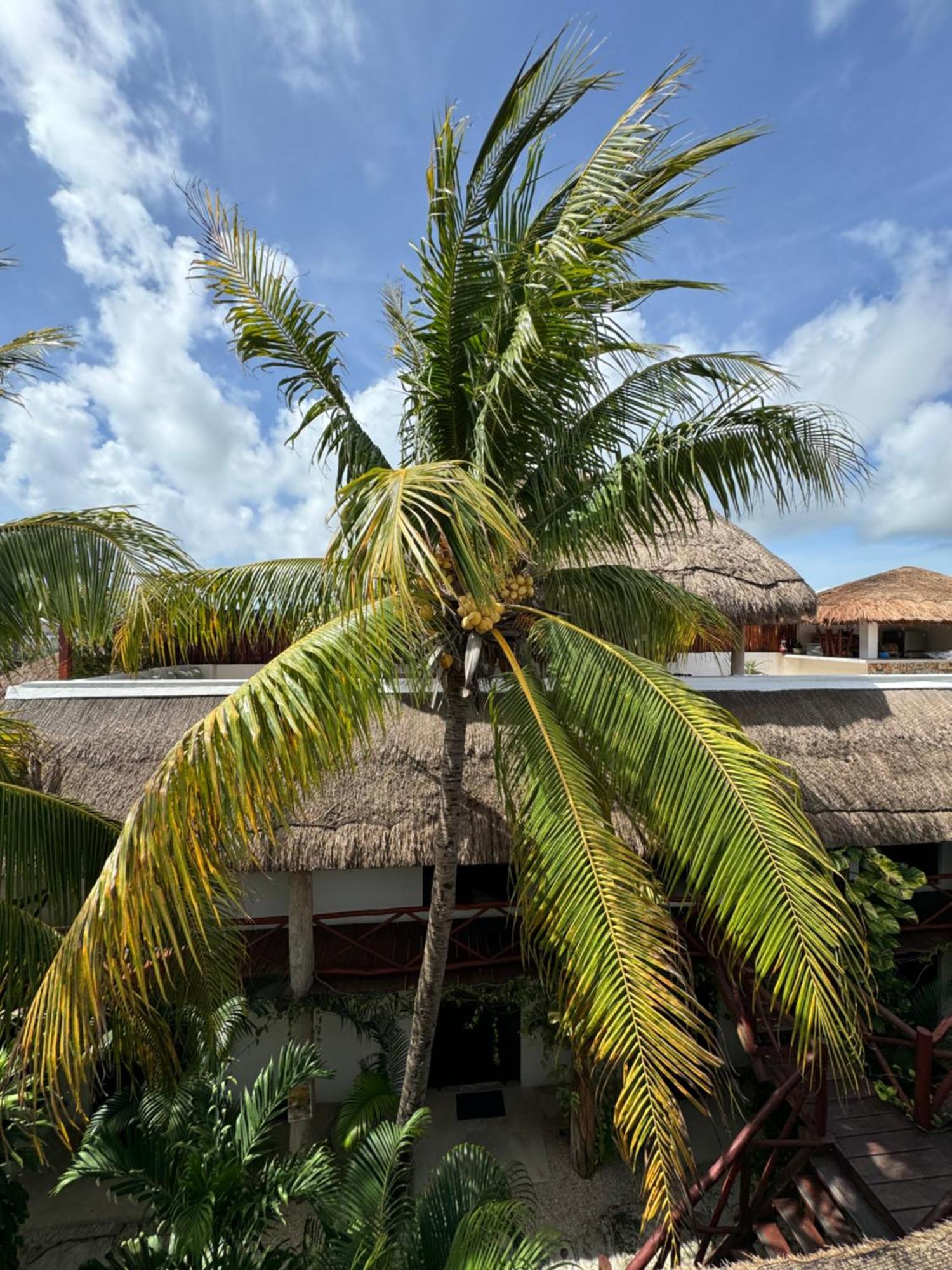 Kin Ha Tulum Hotel Eksteriør bilde
